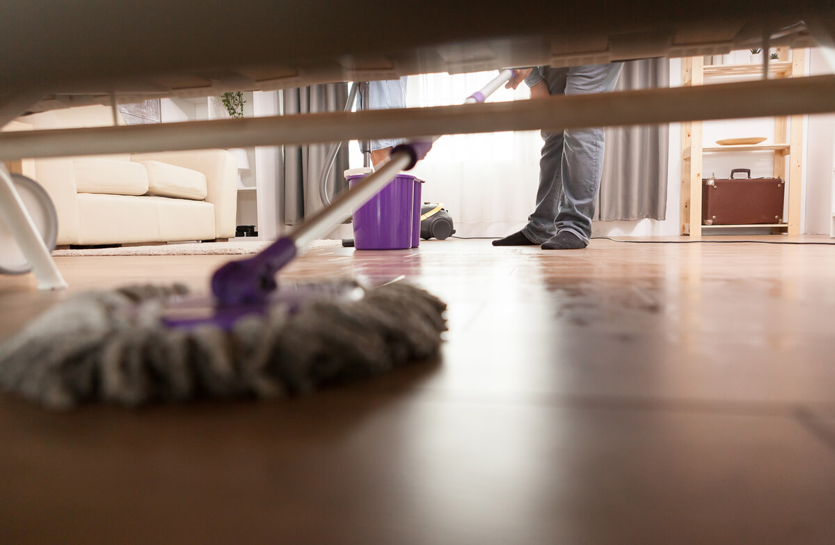 Read more about the article Jak skutecznie pozbyć się kurzu w domu? – poradnik dla osób, które chcą zadbać o higienę swojego mieszkania